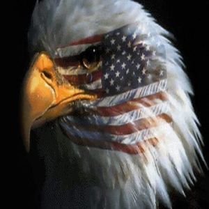 Meet your Posher, Gary jr